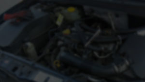 bg3